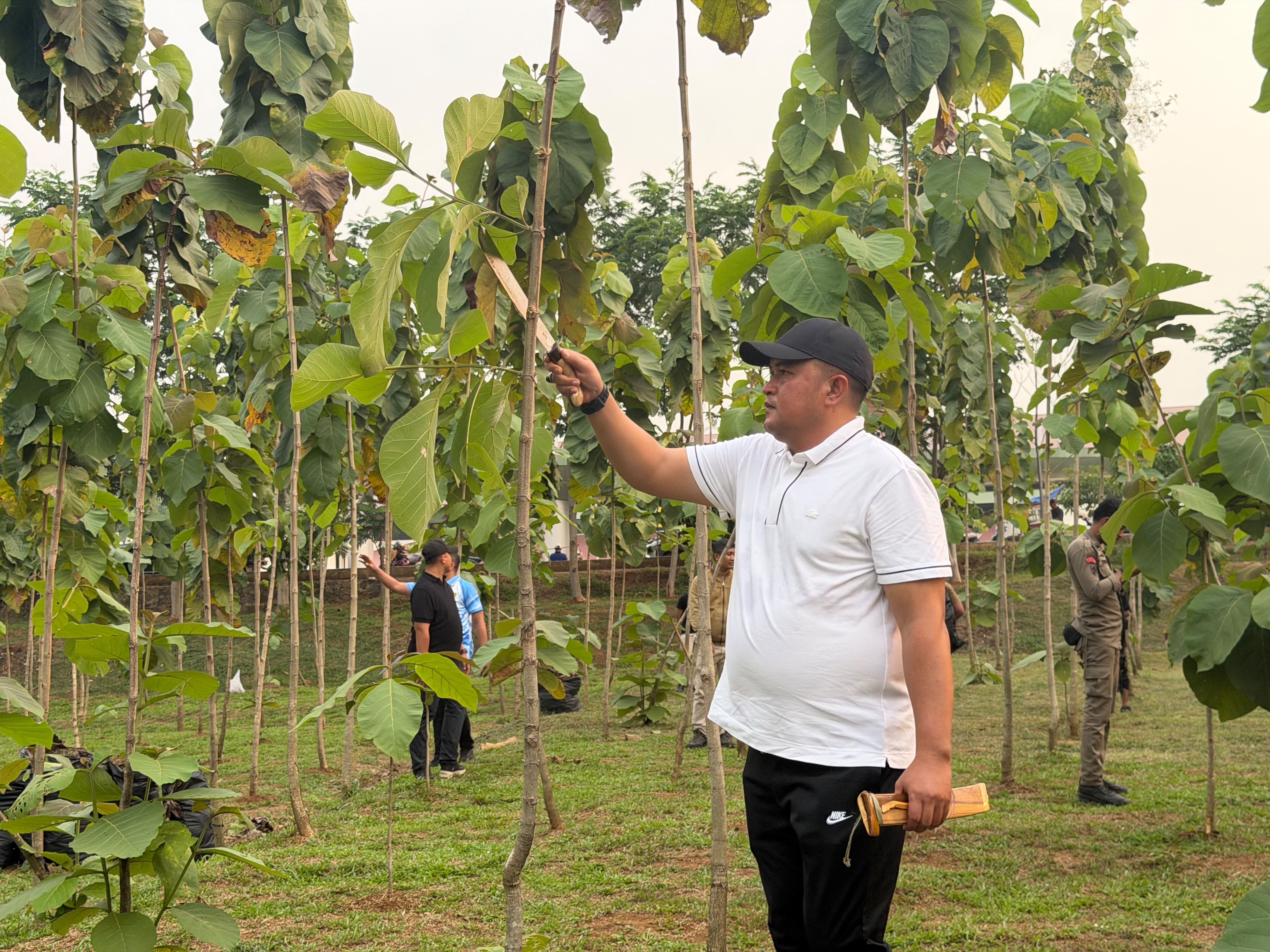 Rudy Susmanto Perkuat Gerakan ASRI, Penanaman Hutan Kota Bogor Diklaim Capai 220 Ribu Hektare